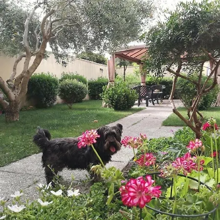 Apartamento Affitacamere/domo - Mari E Luci *