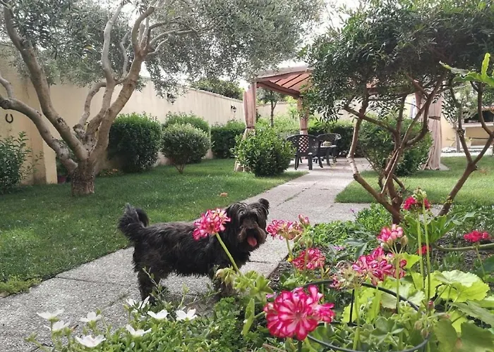 Apartman Affitacamere/domo - Mari E Luci *